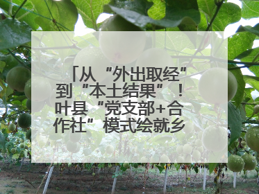 从“外出取经”到“本土结果”！叶县“党支部+合作社”模式绘就乡村振兴新图景