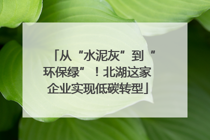 从“水泥灰”到“环保绿”！北湖这家企业实现低碳转型