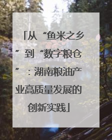 从“鱼米之乡”到“数字粮仓”：湖南粮油产业高质量发展的创新实践