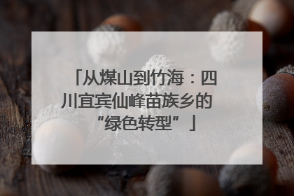 从煤山到竹海：四川宜宾仙峰苗族乡的“绿色转型”
