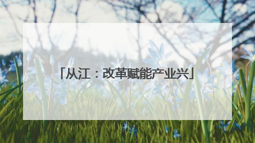 从江：改革赋能产业兴