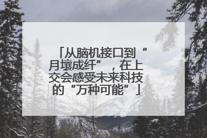 从脑机接口到“月壤成纤”，在上交会感受未来科技的“万种可能”
