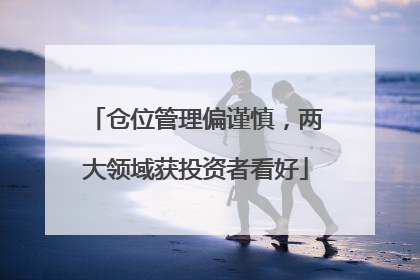 仓位管理偏谨慎，两大领域获投资者看好