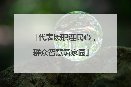 代表履职连民心，群众智慧筑家园