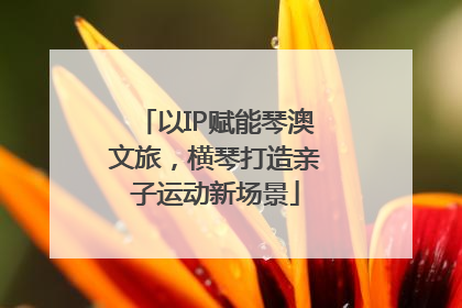 以IP赋能琴澳文旅，横琴打造亲子运动新场景