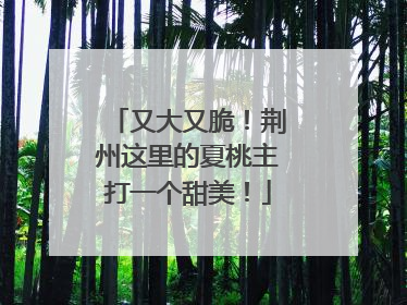 又大又脆！荆州这里的夏桃主打一个甜美！