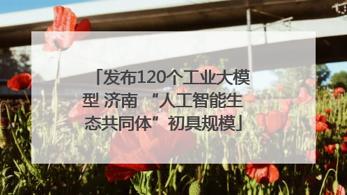 发布120个工业大模型 济南 “人工智能生态共同体”初具规模