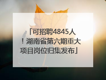 可招聘4845人！湖南省第六期重大项目岗位归集发布