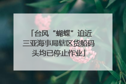 台风“蝴蝶”迫近 三亚海事局辖区货船码头均已停止作业
