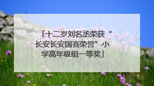 十二岁刘名丞荣获“长安长安国赛荣誉”小学高年级组一等奖