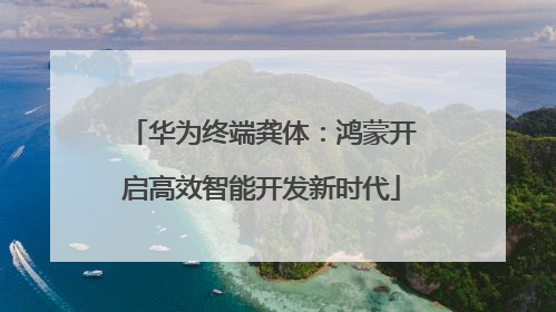 华为终端龚体：鸿蒙开启高效智能开发新时代