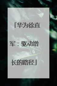华为徐直军：驱动增长的路径