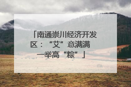 南通崇川经济开发区：“艾”意满满 一举高“粽”