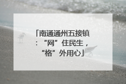 南通通州五接镇：“网”住民生，“格”外用心