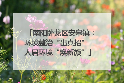 南阳卧龙区安皋镇：环境整治“出真招” 人居环境“焕新颜”