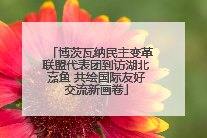 博茨瓦纳民主变革联盟代表团到访湖北嘉鱼 共绘国际友好交流新画卷