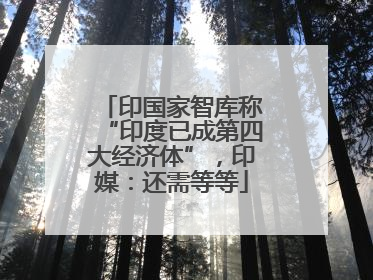 印国家智库称“印度已成第四大经济体”，印媒：还需等等