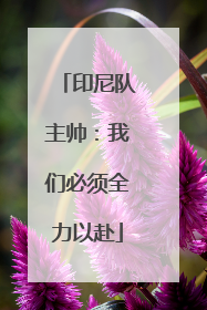 印尼队主帅：我们必须全力以赴