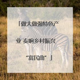 做大做强特色产业 奏响乡村振兴“富民曲”