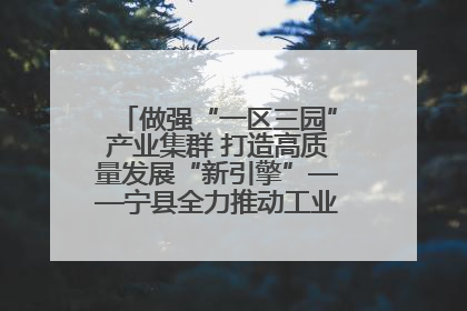 做强“一区三园”产业集群 打造高质量发展“新引擎”——宁县全力推动工业经济提质增效