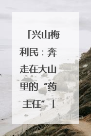 兴山梅利民：奔走在大山里的“药主任”