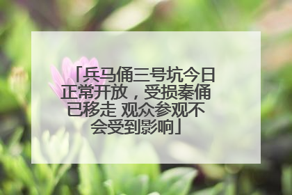 兵马俑三号坑今日正常开放，受损秦俑已移走 观众参观不会受到影响