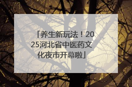 养生新玩法！2025河北省中医药文化夜市开幕啦