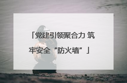 党建引领聚合力 筑牢安全“防火墙”
