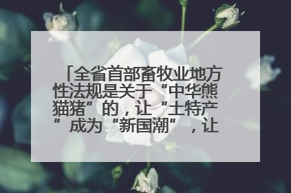 全省首部畜牧业地方性法规是关于“中华熊猫猪”的，让“土特产”成为“新国潮”，让“农产品”升格为“城市IP”