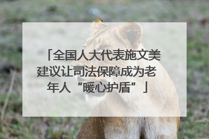 全国人大代表施文美建议让司法保障成为老年人“暖心护盾”