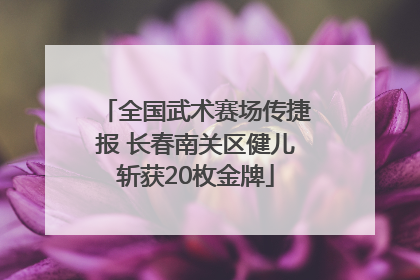 全国武术赛场传捷报 长春南关区健儿斩获20枚金牌
