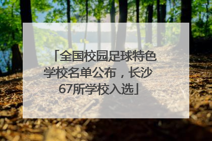 全国校园足球特色学校名单公布，长沙67所学校入选