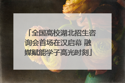 全国高校湖北招生咨询会首场在汉启幕 融媒赋能学子高光时刻