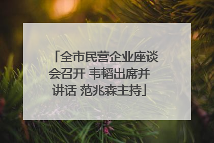 全市民营企业座谈会召开 韦韬出席并讲话 范兆森主持