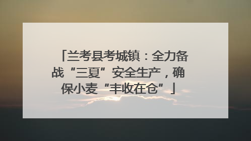 兰考县考城镇：全力备战“三夏”安全生产，确保小麦“丰收在仓”