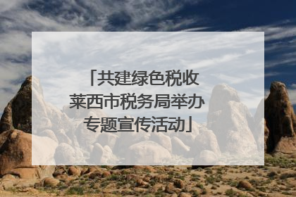 共建绿色税收 莱西市税务局举办专题宣传活动