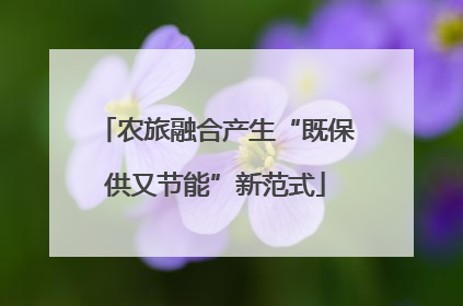 农旅融合产生“既保供又节能”新范式