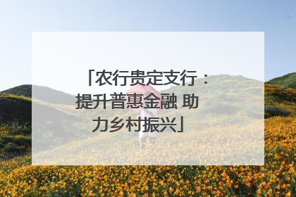 农行贵定支行：提升普惠金融 助力乡村振兴