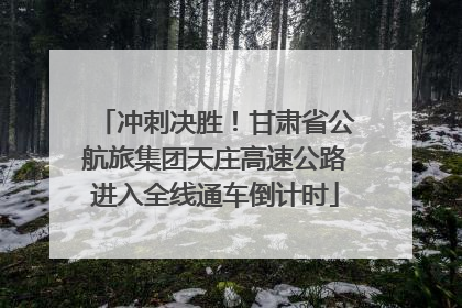 冲刺决胜！甘肃省公航旅集团天庄高速公路进入全线通车倒计时