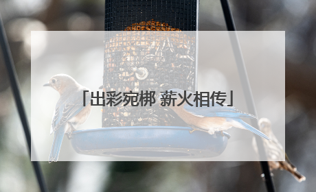 出彩宛梆 薪火相传