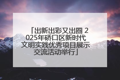 出新出彩又出圈 2025年硚口区新时代文明实践优秀项目展示交流活动举行
