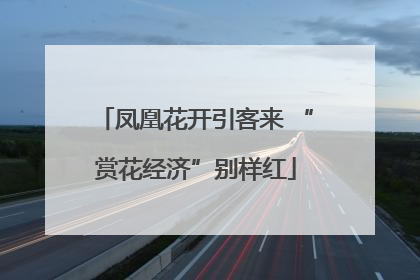 凤凰花开引客来 “赏花经济”别样红