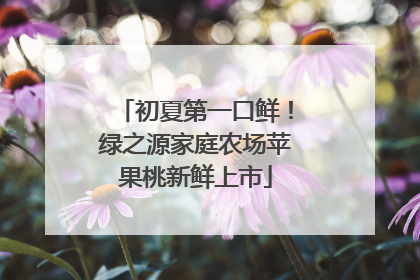 初夏第一口鲜！绿之源家庭农场苹果桃新鲜上市