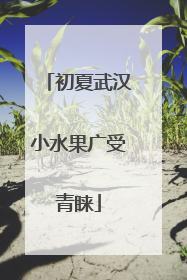 初夏武汉小水果广受青睐