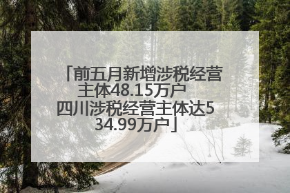 前五月新增涉税经营主体48.15万户 四川涉税经营主体达534.99万户