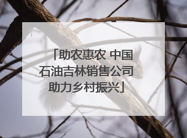 助农惠农 中国石油吉林销售公司助力乡村振兴