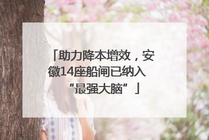 助力降本增效，安徽14座船闸已纳入“最强大脑”