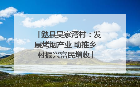 勉县吴家湾村：发展烤烟产业 助推乡村振兴富民增收
