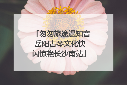 匆匆旅途遇知音 岳阳古琴文化快闪惊艳长沙南站