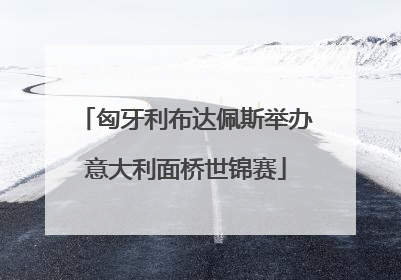 匈牙利布达佩斯举办意大利面桥世锦赛